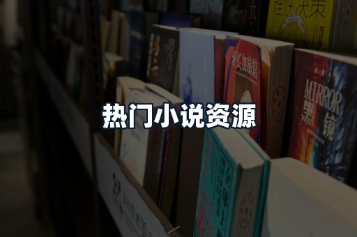热门小说资源